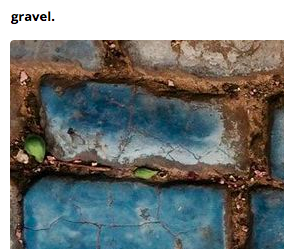 Screen Shot 2017-10-16 at 9.55.59 AM